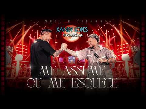 SUEL E TIERRY | ME ASSUME OU ESQUECE - DVD FASES -2023  💎