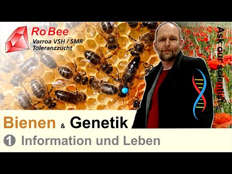 , title : '1) Bienen & Genetik - Grundlagen & Zuchtarbeit'