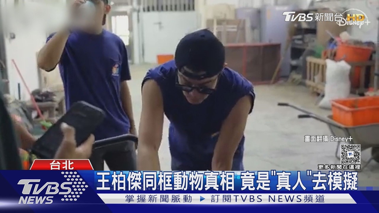 影音／王柏傑雙劇夾擊！《乩身》歷經7年波折　《動物園》暖男形象反差大