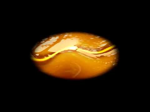 Paperkraft - Take It There (Edit)