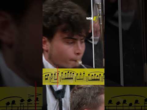 What a fabulous #bassoonist !  #classicalmusic