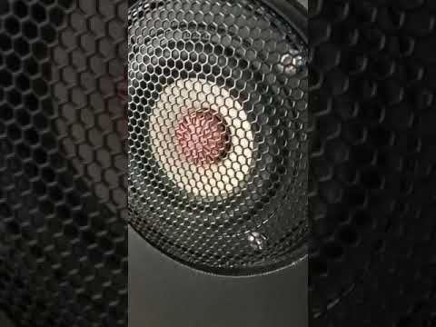 tang band, ΠΏΡΠ΅Π·Π΅Π½ΡΠ°ΡΠΈΡ))