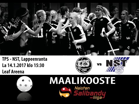 Maalikooste N1 TPS - NST 14.1.2017