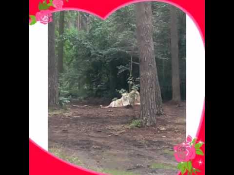 Danas erstes Video (Tiere und ich)