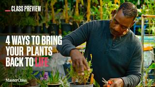 Fast Fixes for Healthier Plants with Ron Finley | Class Preview | MasterClass