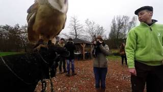 Valkerij Neverland Workshop 14/02/2016 Valkerij Neverland Workshop 14/02/2016