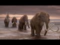 Ice Age The Live Action Remake Movie 2022 Movie Clip Diego The Siberian Tiger Is In Danger