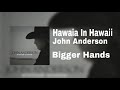 Hawaia In Hawaii - John Anderson