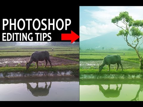 Neon Glow Effect Portrait Photoshop Tutorial