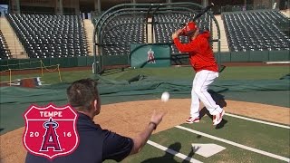 Mike Trout talks Tee Work and Prepping for Season