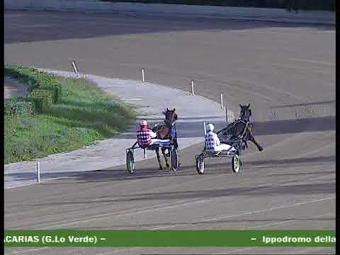 2° PROVA DI QUALIFICA DEL 28 NOVEMBRE 2017  Mt 2000 2 Anni Tempo 1 23 0