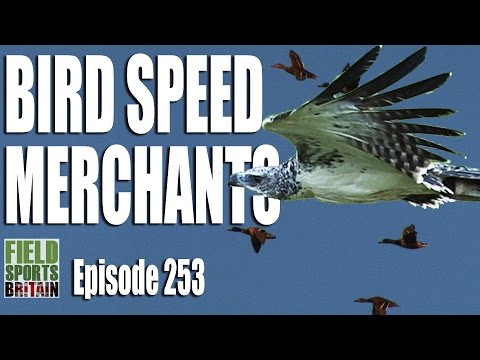 Fieldsports Britain – Bird Speed Merchants Fieldsports Britain – Bird Speed Merchants