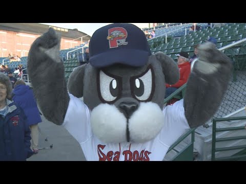 Slugger, the Portland Sea Dogs mascot, voted into Mascot Hall of Fame