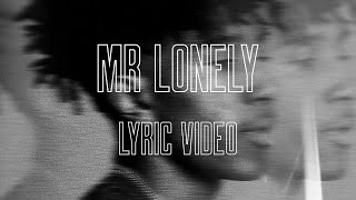Mr. Lonely Music Video