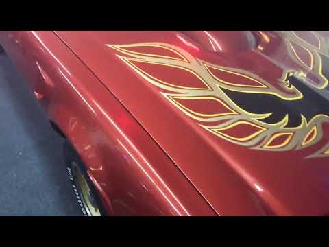 1976 Pontiac Firebird Trans Am (CC-1343641) for sale in Duanesburg , New York