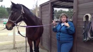 Beau talks to Lydia Hiby