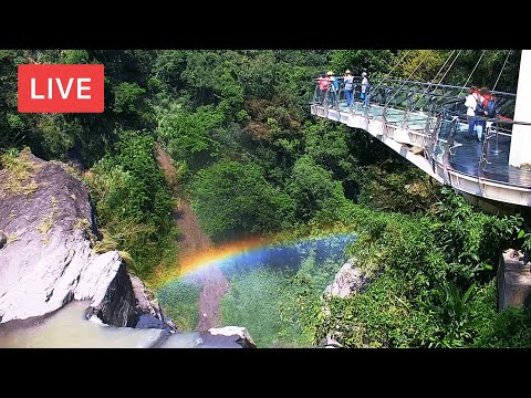 Xiao Wulai Skywalk 小烏來天空步道 - 全景