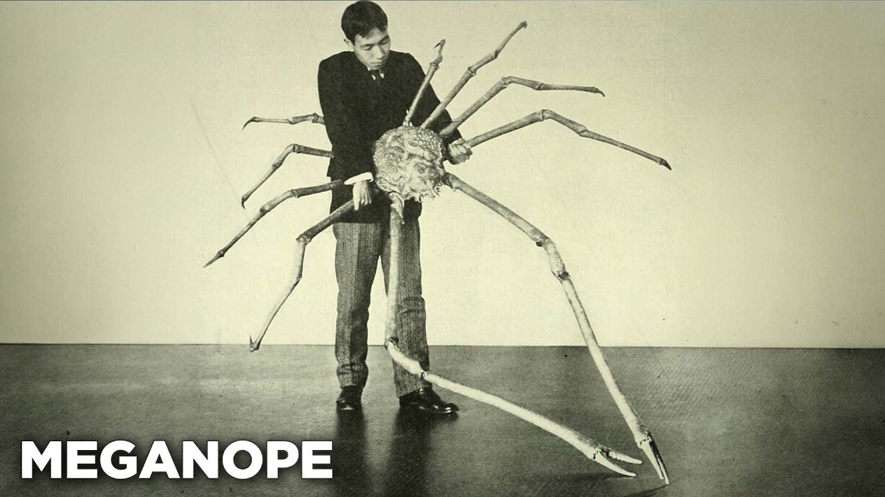 Animals That Were Clearly Designed By Satan