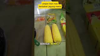 Download lagu cara buat umpan ikan mas berbahan dasar jagung manis #umpanikanmasjitu #umpangacor mp3