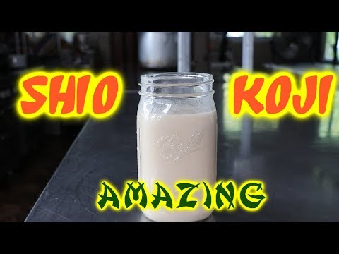 How to Make Shio Koji (easy)
