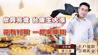 欣興亮燈 台康生大漲  還有好股 一起來賺錢｜大戶羅盤籌碼動能 ｜謝宗霖 (圖)