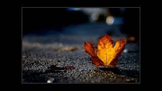 Bob Seger - The Famous Final Scene