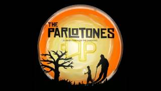 The Parlotones - BraveAndWild