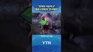 옷은 어디에 두고… #shorts / YTN