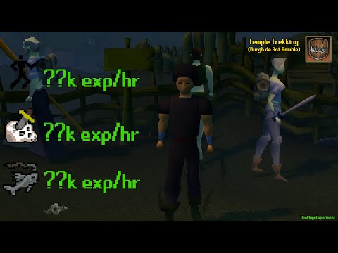 Are Temple Trekking EXP rewards worth it?