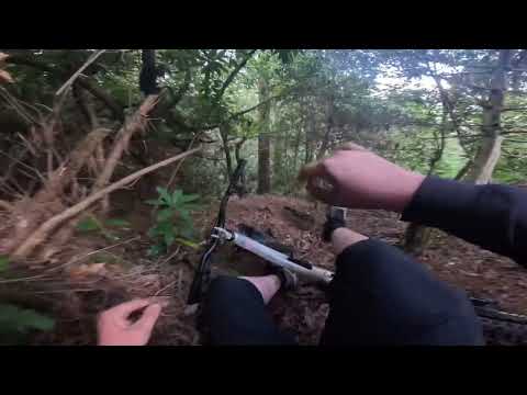 My first time at Puddletown Forest!!!