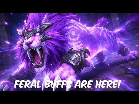 NEW FERAL DRUID BUFFS ARE HERE! - Feral druid midnight pvp