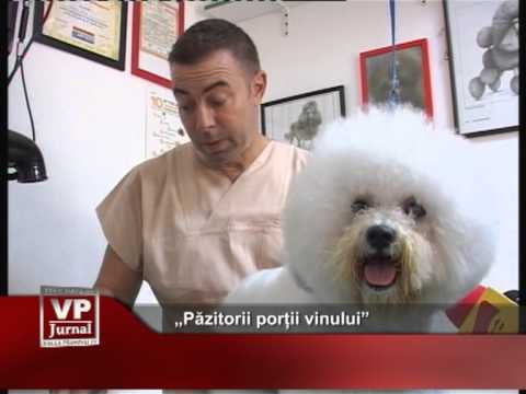 „Păzitorii porții vinului”