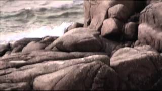 MGlala - Black is the Colour