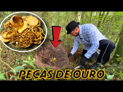 He found gold pieces with metal detector