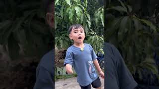 Download lagu Boys and girls mp3 Download lagu Boys and girls mp3