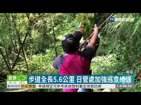 日月潭水社大山步道 樹幹.竹子倒塌