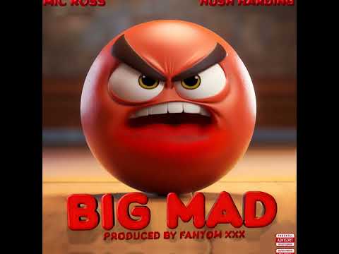 MIC ROSS x HUSH HARDING - Big Mad (Official Visualizer)