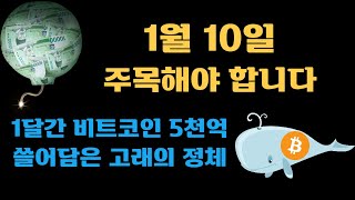 1월 10일 주목해야 합니다ㅣ한달간 비트코인 5천억 쓸어담은 고래의 정체