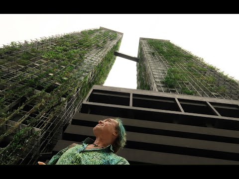 PATRICK BLANC - GENESIS & FUTURE OF THE VERTICAL GARDEN
