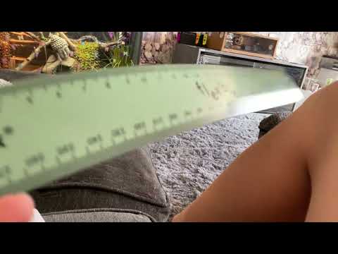 Flexible ruler