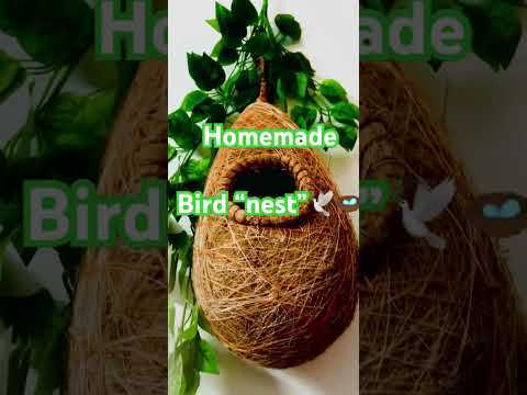 #naturelovers #good 🪺😇😇