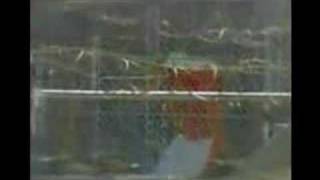 Sick Symphonies ft Immortal Technique : "CIA MURDER ME RMX"