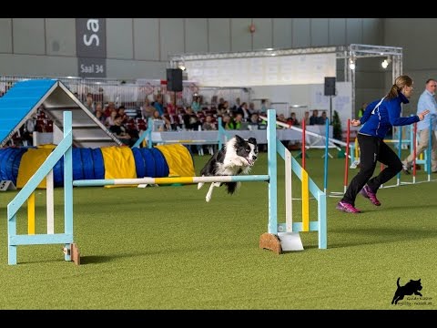 Anne Lenz und Itzi AWC Qualification Finale 2017