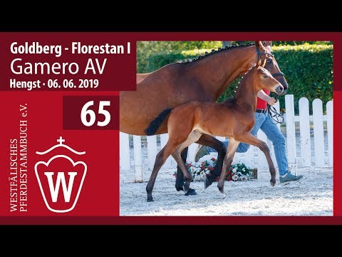 65 Gamero AV Hengst v. Goldberg - Florestan
