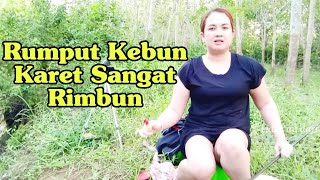 Download lagu Lubuk kecil tempat ikan berkumis mp3 Download lagu Lubuk kecil tempat ikan berkumis mp3