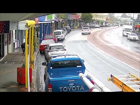 Coca cola dog commercial