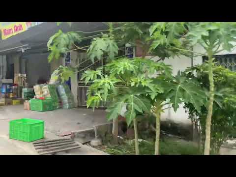 Board Game Bonanza: Classic and Modern Favorites for Family Fun