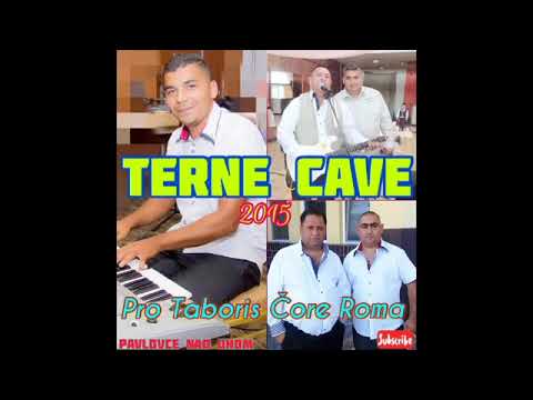 PAVLOVCE TERNE CAVE 53 - PRO TABORIS CORE ROMA   2015