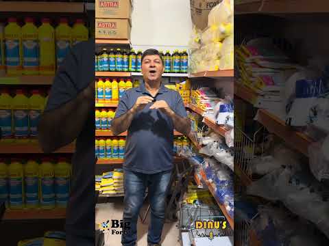Loja Big Forte a sua Big Loja Ribas do Rio Pardo #dinusproducoes #dininhoalmeida
