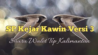 Download lagu SP Kejar Kawin Versi 3... mp3